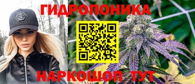 МДПВ Новокубанск